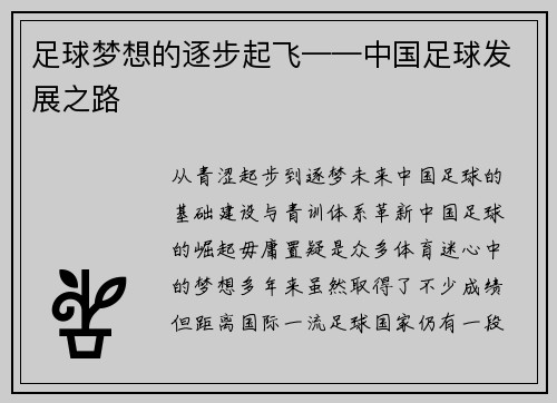 足球梦想的逐步起飞——中国足球发展之路