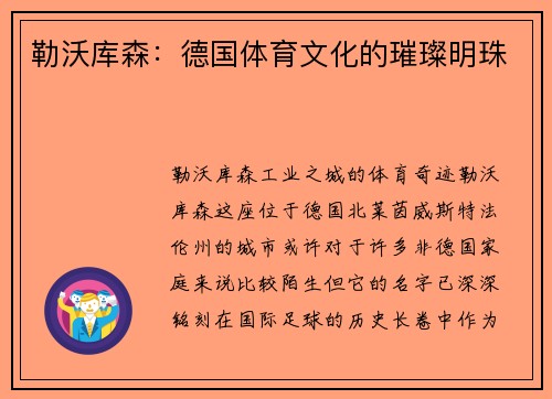 勒沃库森：德国体育文化的璀璨明珠