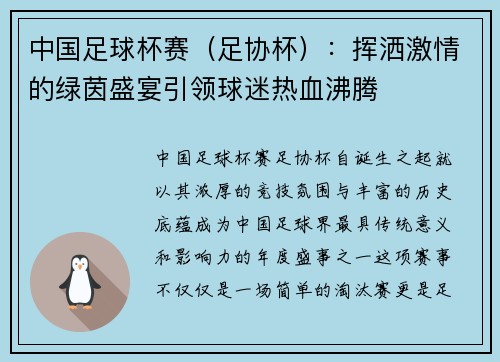 中国足球杯赛（足协杯）：挥洒激情的绿茵盛宴引领球迷热血沸腾